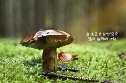 开云体育中国-破茧与铁壁，拉什福德绝境爆发，塞内加尔以连续得分压制乌拉圭