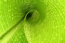 开云官网-东方巨龙正面对决，西方孤星欧冠封神—当辽宁击溃76人遇见东契奇接管决赛