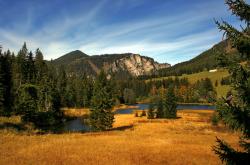 开云APP-蒂亚戈扛鼎之战，乌克兰力克埃及，一人引领全队逆袭