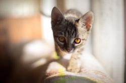 -横扫球场与称霸赛道，当统治力成为唯一语法