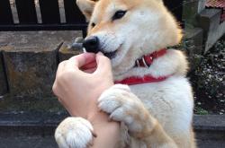 开云体育-末节之神卡马文加！比利亚雷亚尔逆转利物浦的史诗之战