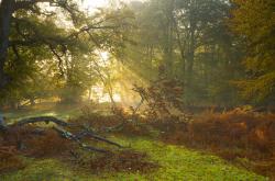 -卢卡库带动全队节奏，伊朗防守锁死阿根廷，足球攻防的极致展现