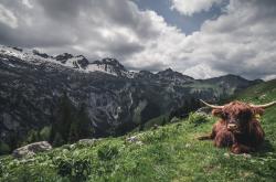 开云官网-马克西闪耀加时赛，魔术险胜掘金获关键胜利