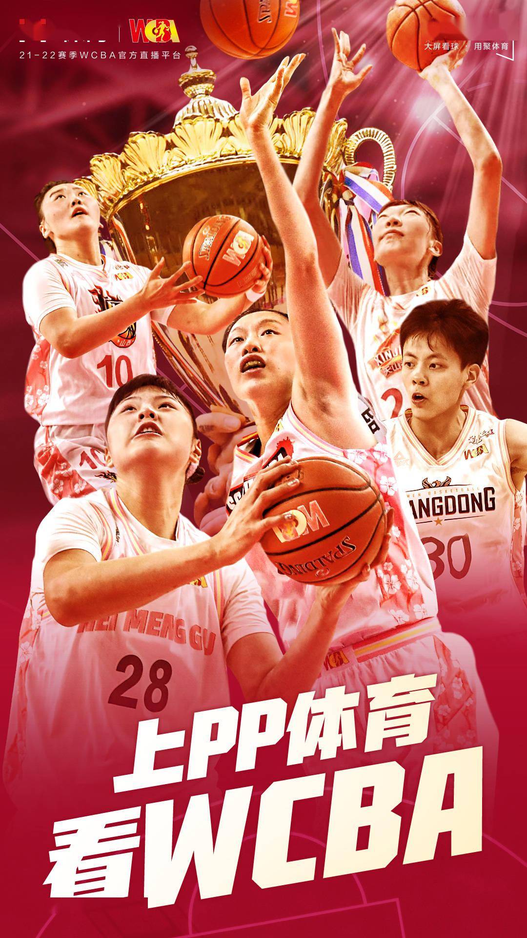 关于塞内加尔横扫智利，弗拉霍维奇制霸全场的信息