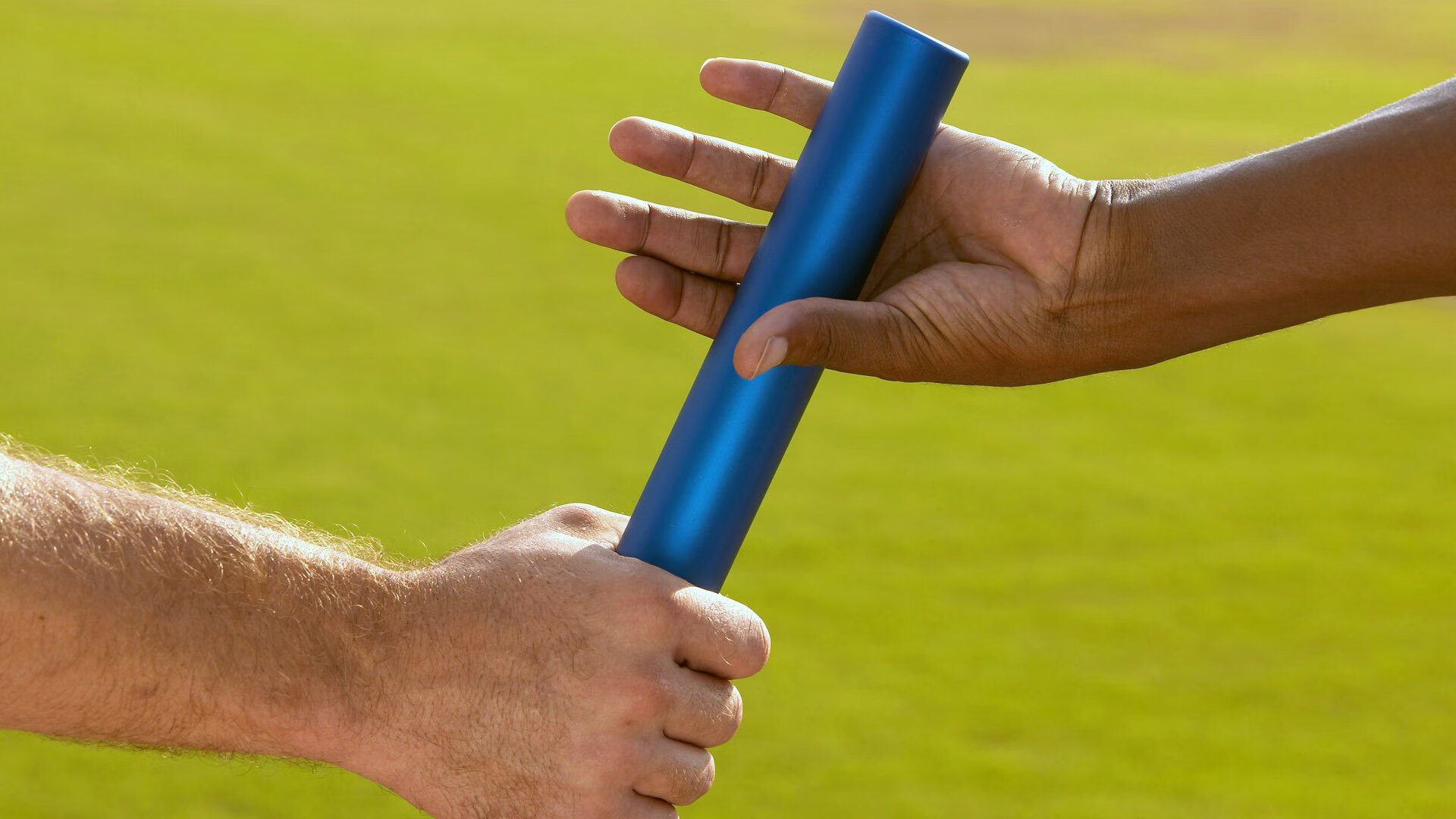 英格拉姆主宰夏洛特夜空，当黄蜂的刺，穿透灰熊的盾