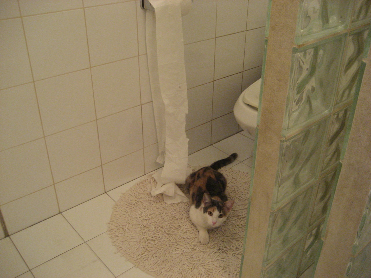 F1年度争冠之夜，保罗关键进球定乾坤