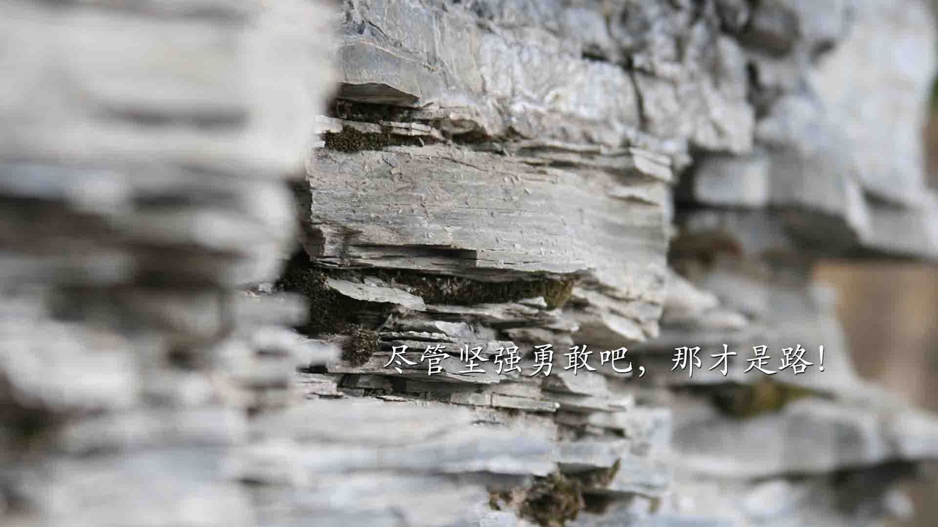 梅西关键先生闪耀,瑞典一波流带走巴萨