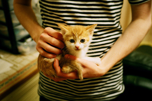 当射手变成盾牌，卢卡库用不进球重新定义美加墨世界杯之夜