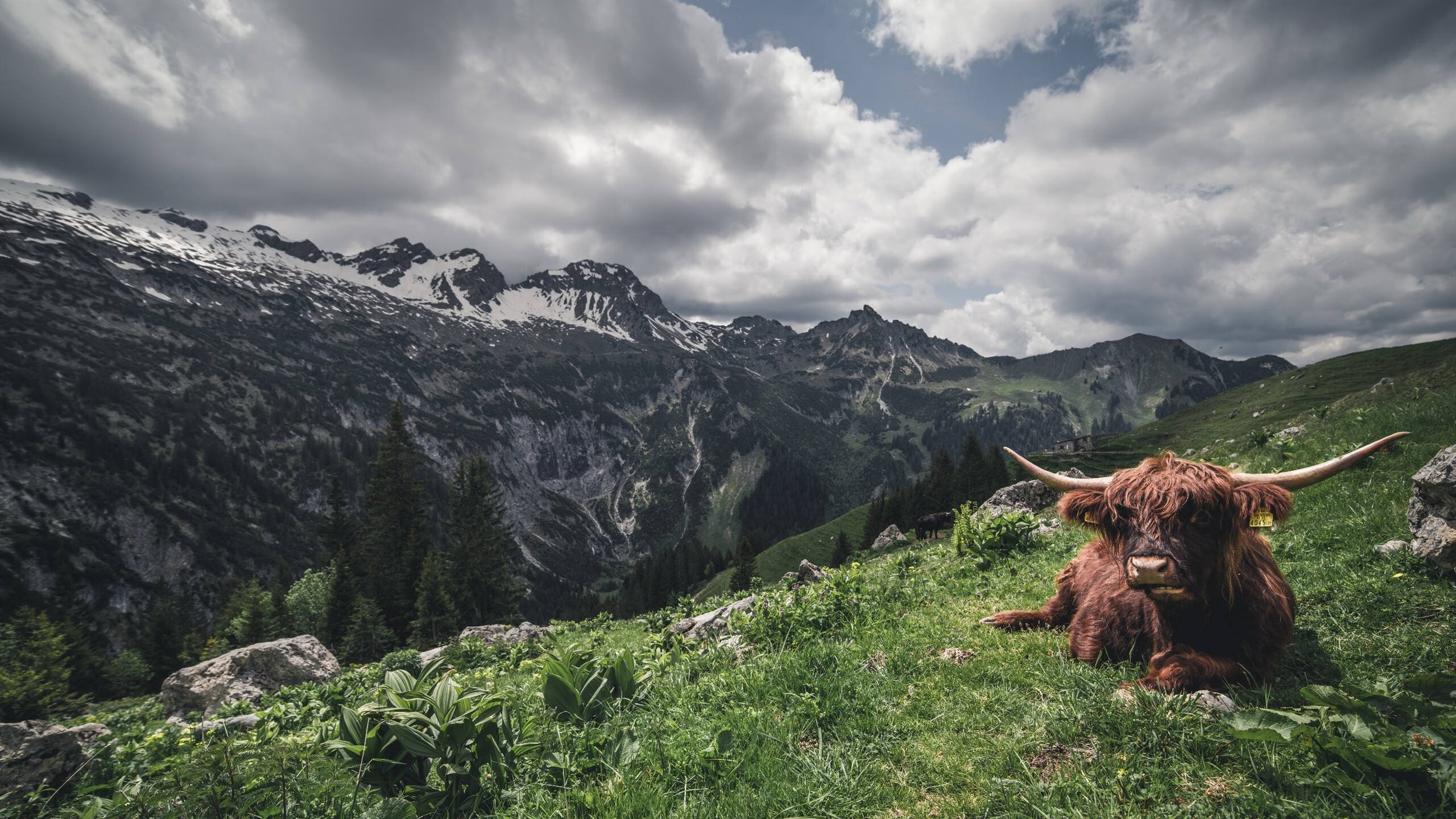 马克西闪耀加时赛，魔术险胜掘金获关键胜利