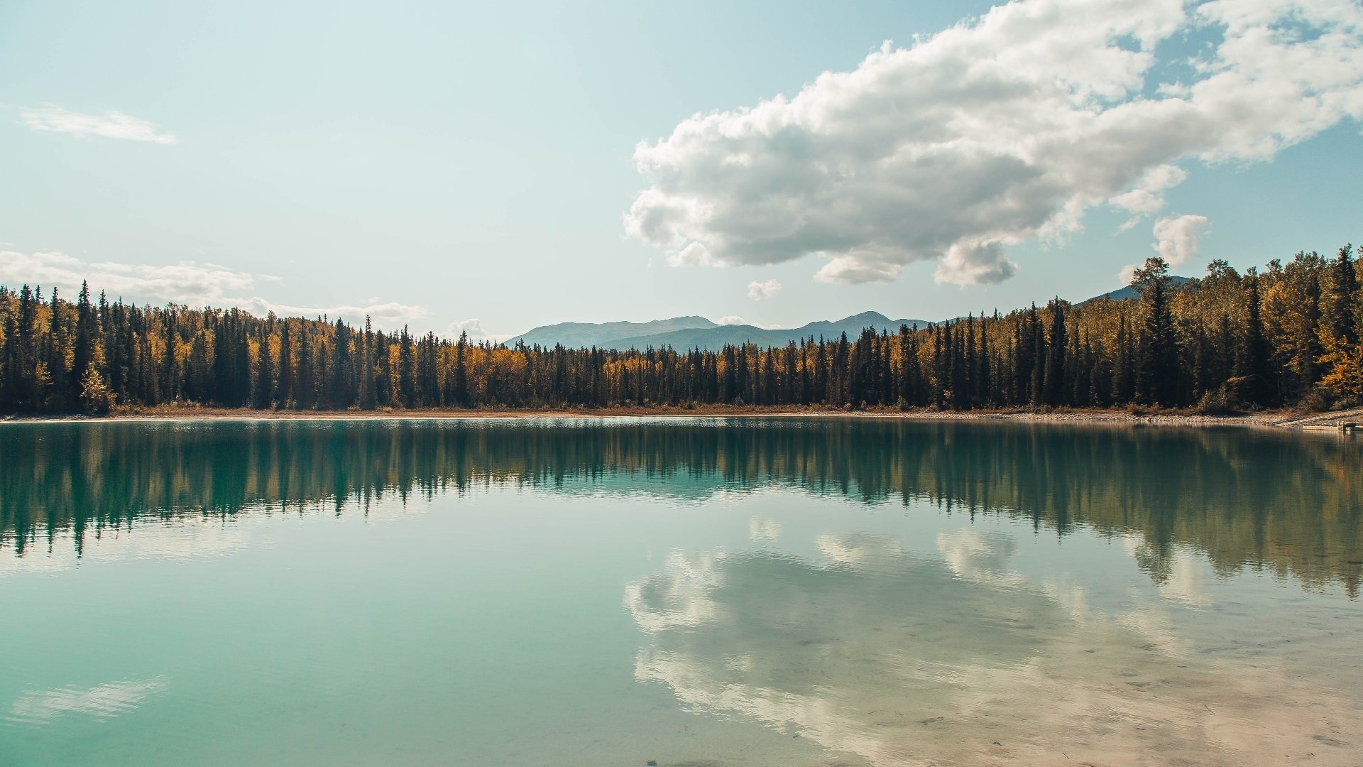 厄瓜多尔冲垮土耳其，罗德里关键先生闪耀全场