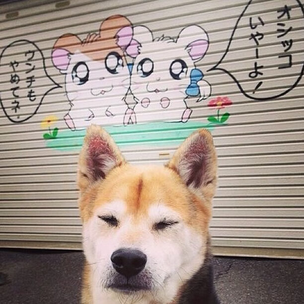 加克波进攻端肆虐如虎，皇家社会强势终结巴拉圭黑马之旅