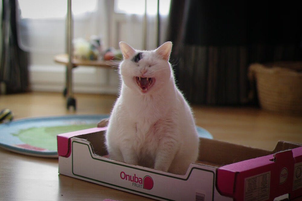 那不勒斯暗夜被锡安点燃，一人改写意甲争冠剧本的超级英雄剧本