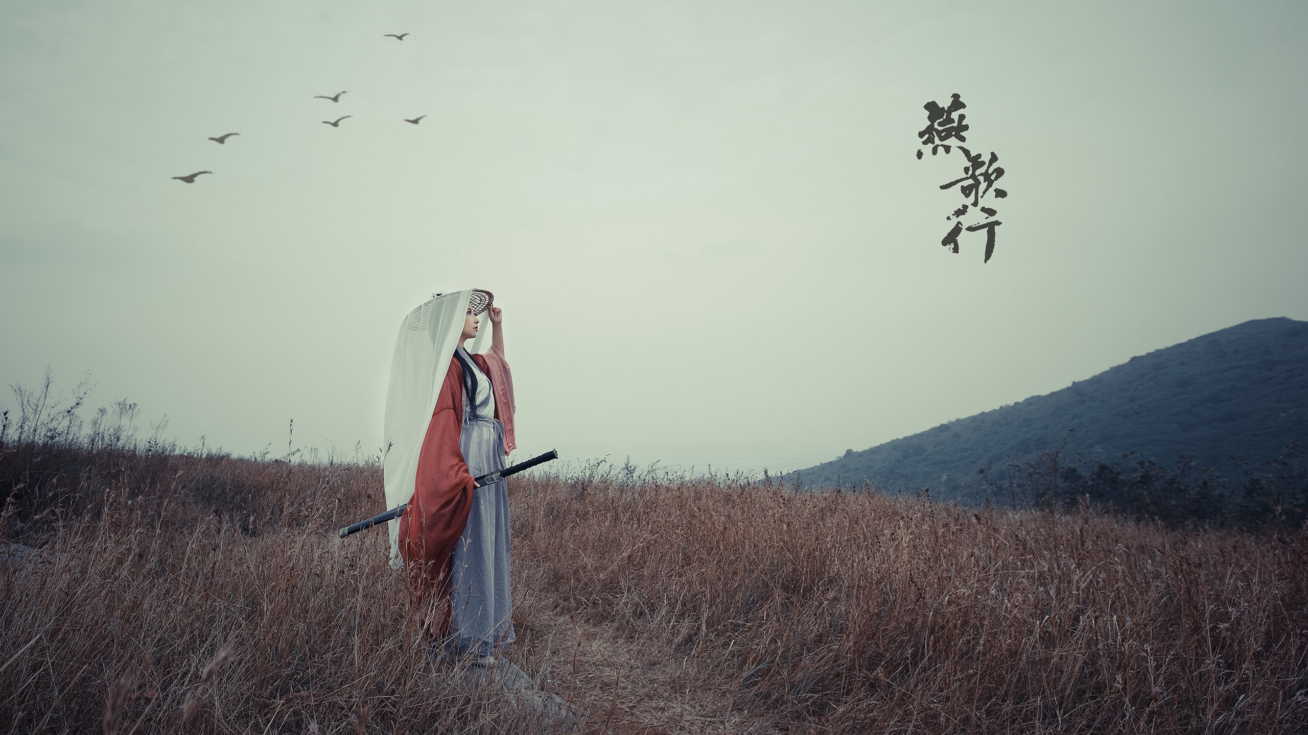 战术铁幕与接管时刻,太阳的集体绞杀与英格拉姆的奥运宣言