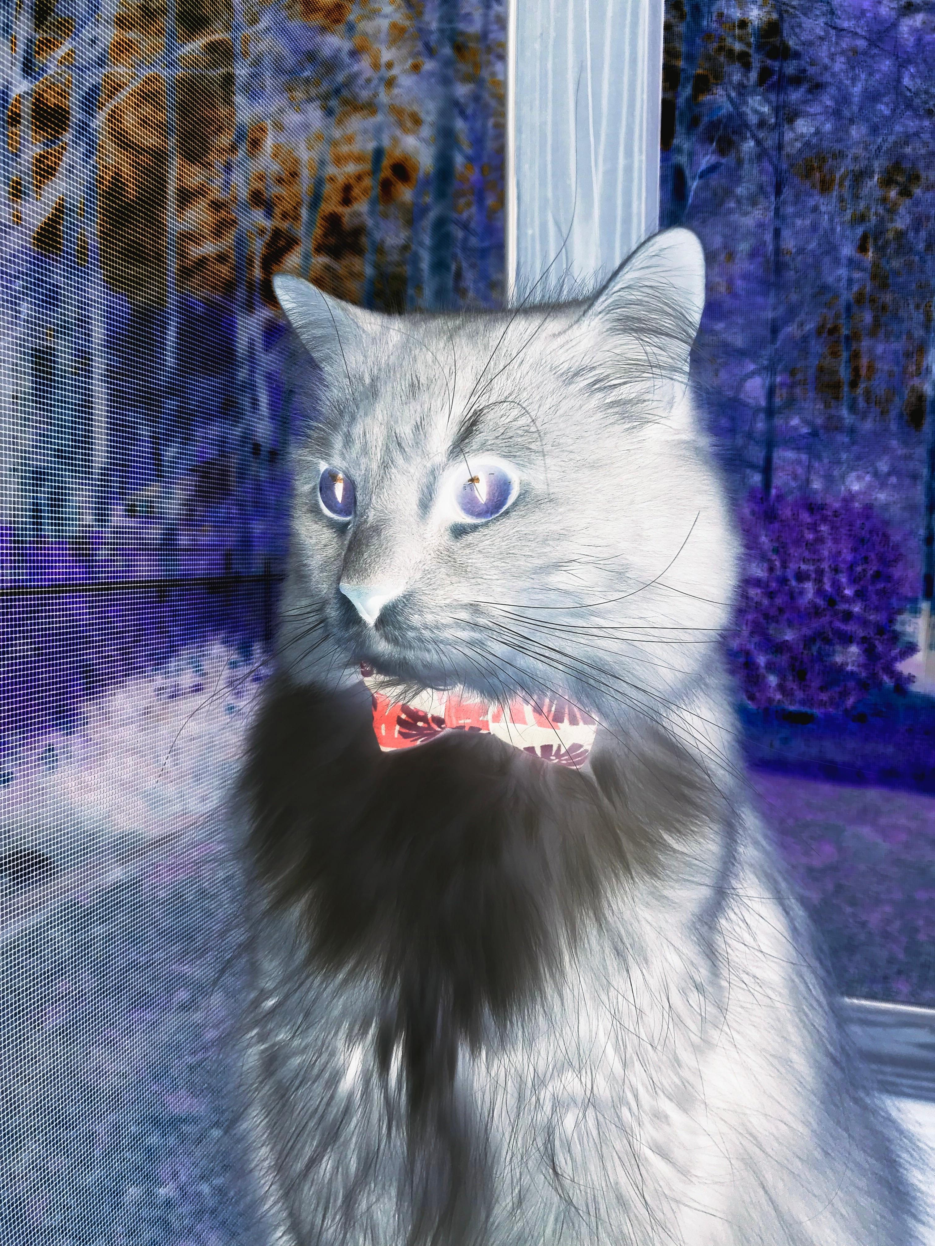 AC米兰狂胜罗马，若日尼奥完成自我救赎